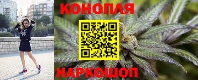 a pvp Краснодар