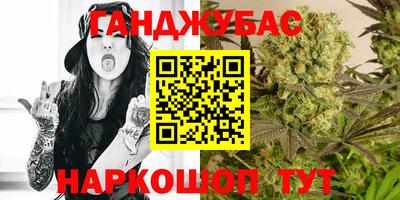 крисы Краснознаменск