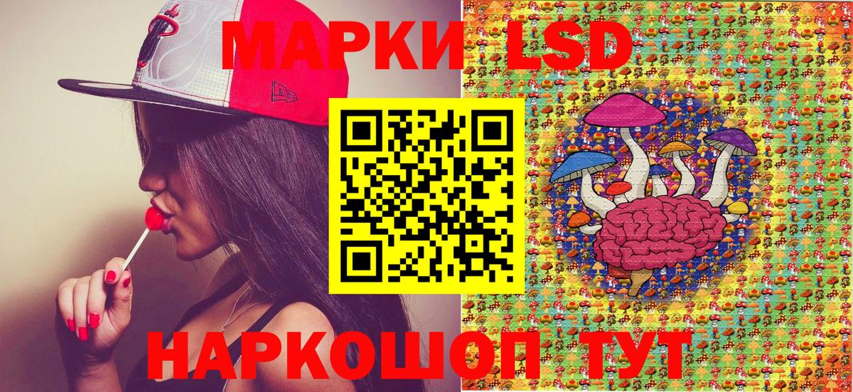 Каменка  Марки NBOMe 1,8мг  Вход с VPN  Марки NBOMe 1,8мг 