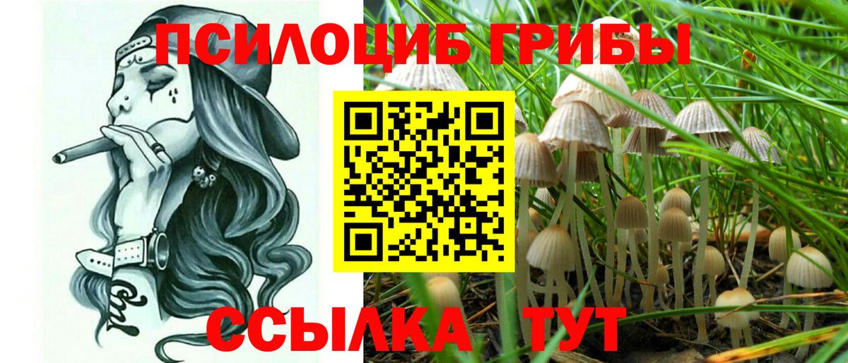 Каменка  Галлюциногенные грибы мухоморы  Галлюциногенные грибы GOLDEN TEACHER  Вход с VPN 
